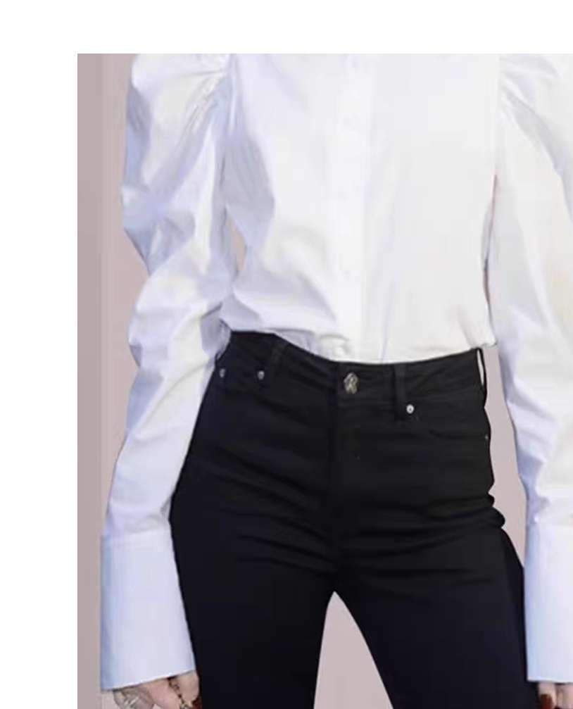 優雅なパフスリーブブラウス